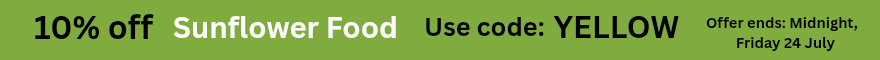 Discount offer banner image